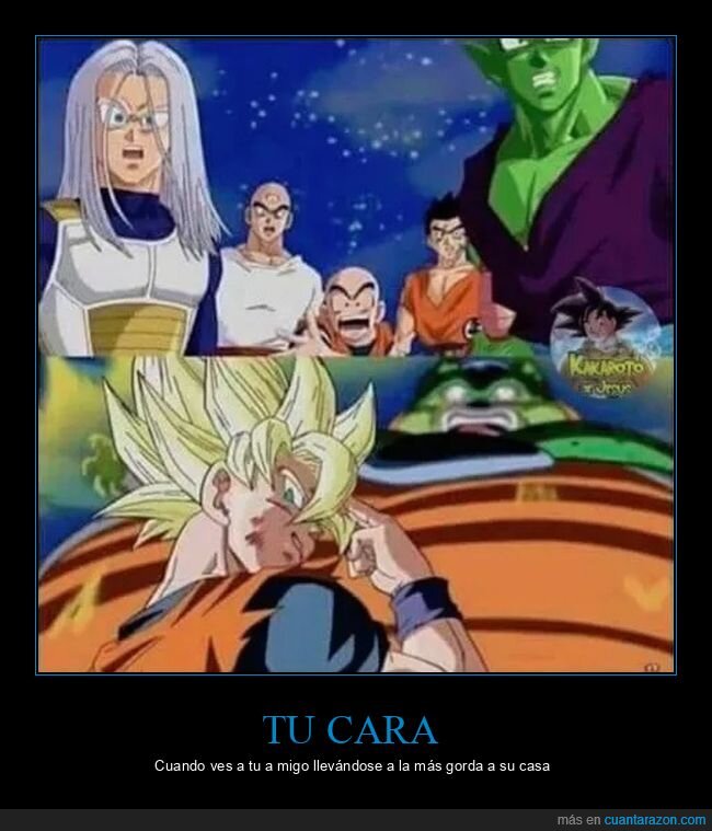 amigo,dragon ball,gorda