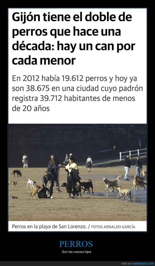 gijón,perros,menores