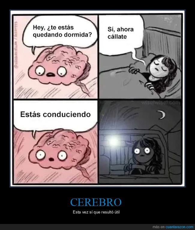 cerebro,conduciendo,durmiendo