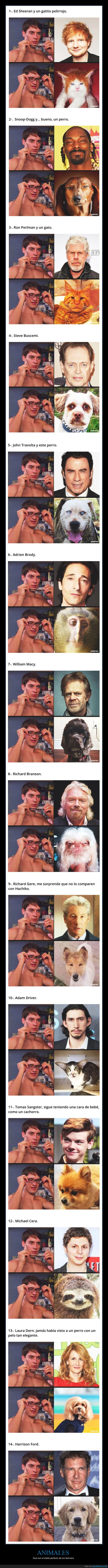animales,famosos,parecidos