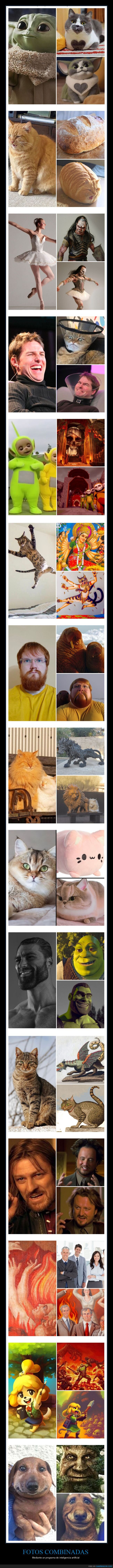 fotos combinadas,inteligencia artificial