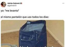 Enlace a Pantalón de diario