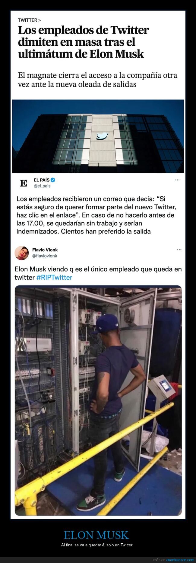 dimisión,elon musk,empleados,twitter