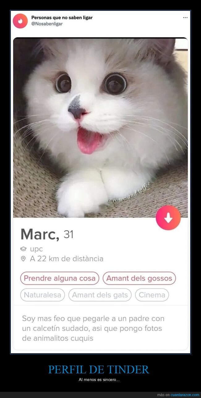 feo,perfil,tinder