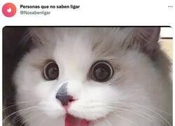 Enlace a La verdad por delante