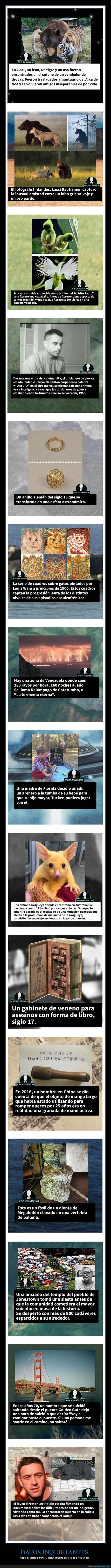 datos,inquietantes