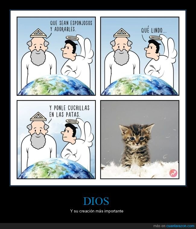 dios,gatos,cuchillas