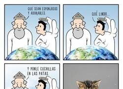 Enlace a Creando a los gatos