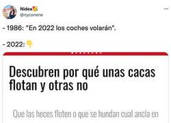 Enlace a Descubrimiento del siglo