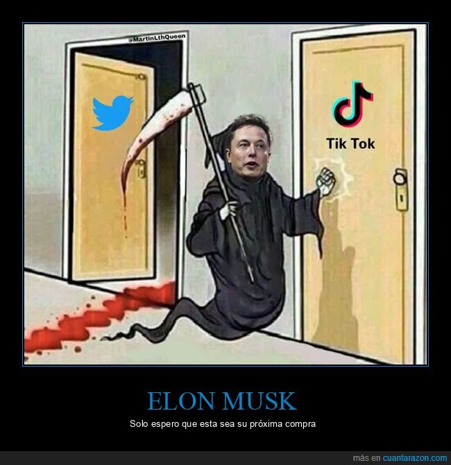 elon musk,tiktok,twitter