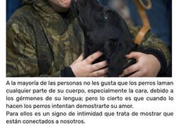Enlace a Cosas que suelen hacer los perros cuando quieren decirte algo