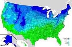 Enlace a En la zona verde cierran los colegios con un solo copo de nieve