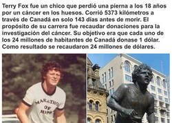 Enlace a Conoce a Terry Fox