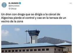 Enlace a Nieve en la terraza