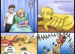 Enlace a El milagro de la vida