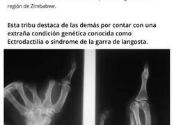 Enlace a Los Vadoma: la tribu con pies de avestruz.