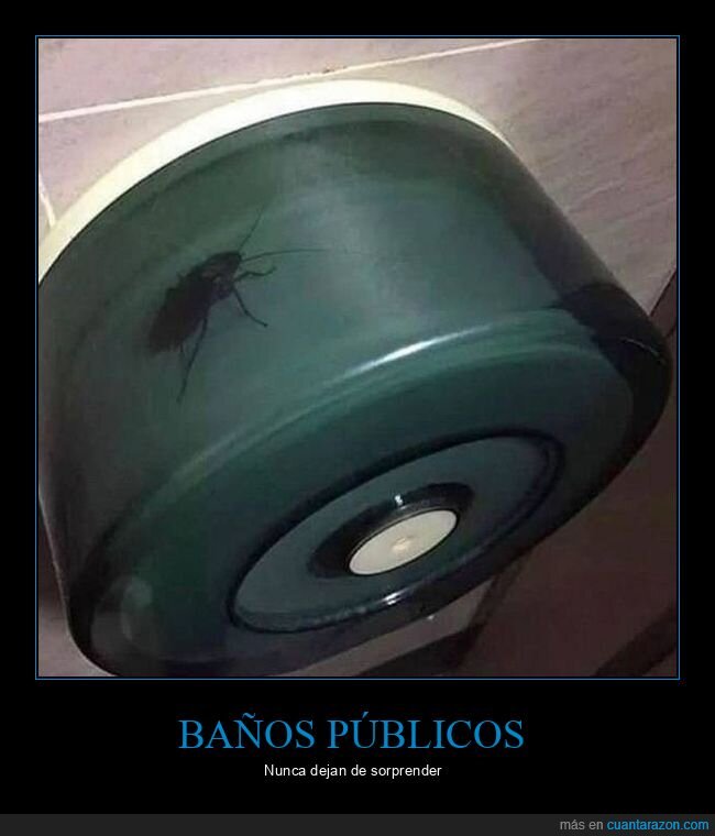 baño público,aseo,cucaracha,papel higiénico