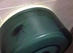 Enlace a Mejor no limpiarse...