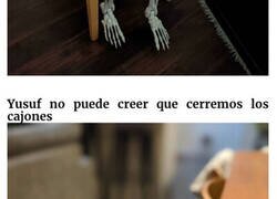 Enlace a Gatos que cayeron en las “trampas” más inusuales