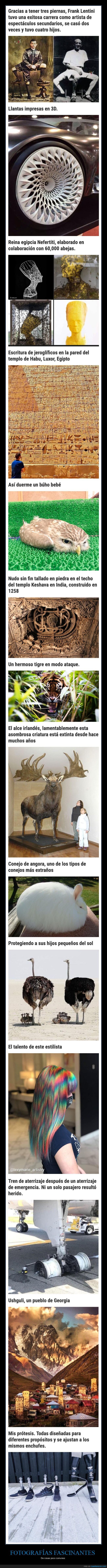 fotografías fascinantes,cosas poco comunes,curiosidades