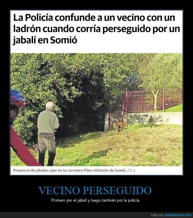 policía,confundir,ladrón,perseguido,jabalí