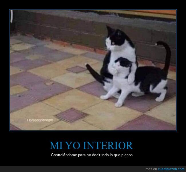 yo interior,decir,pensar,gatos