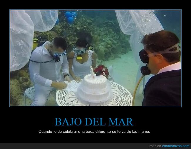 bajo el mar,boda,wtf