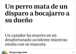 Enlace a Trágico accidente