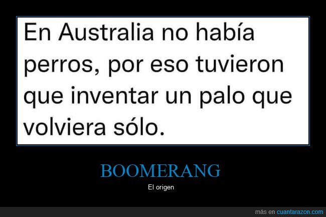 boomerang,australia,perros,palo,volver