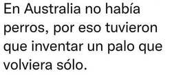 Enlace a Así se inventó el boomerang