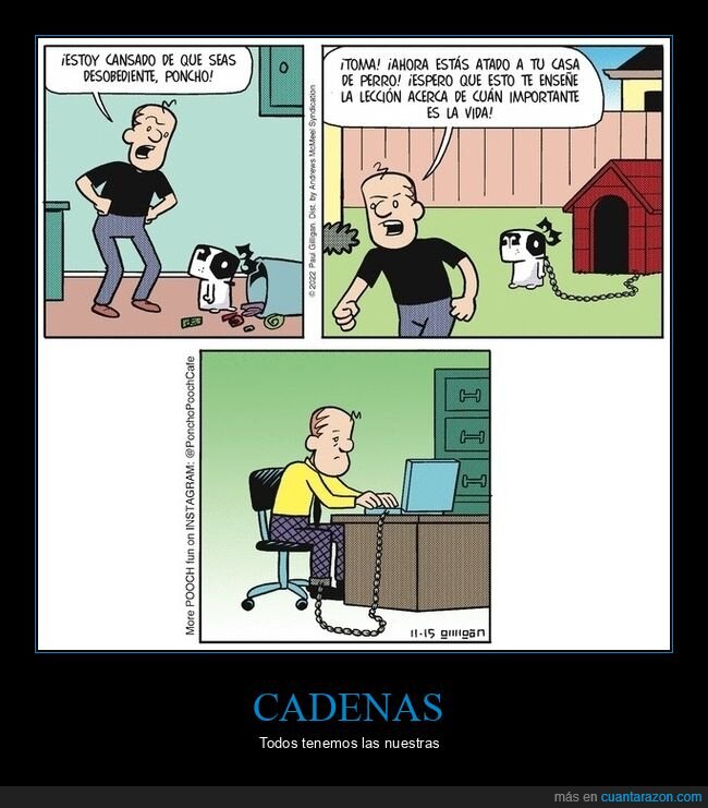 perro,cadena,trabajo