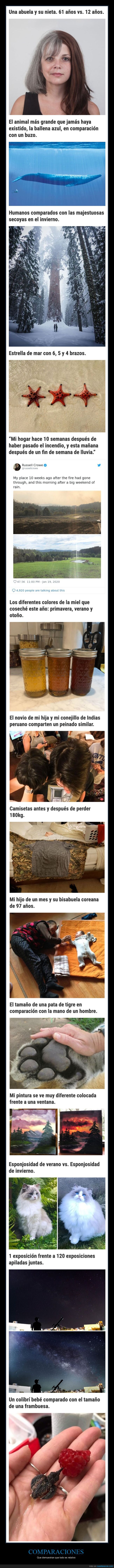 comparaciones,curiosidades