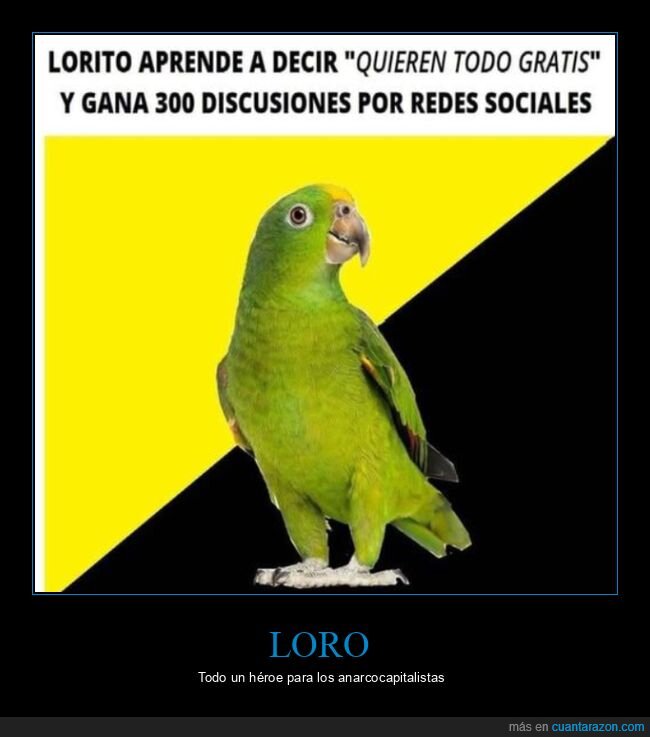 loro,gratis,ganar,discusiones