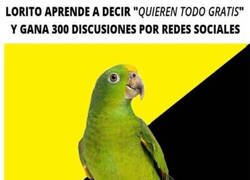Enlace a No necesita más para triunfar