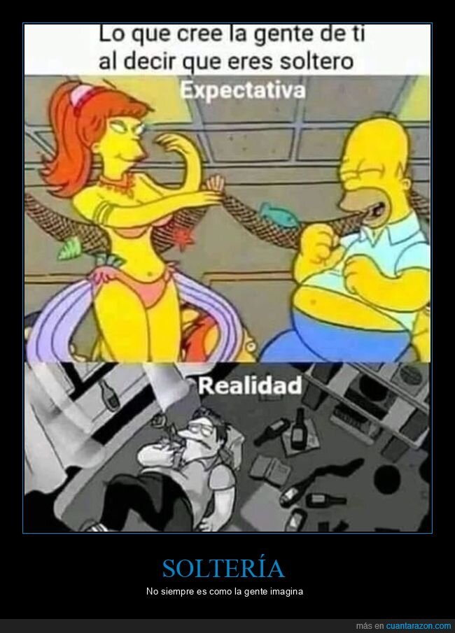 soltero,expectativa,realidad