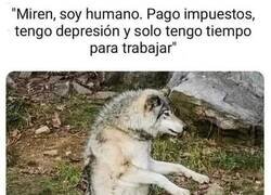 Enlace a Qué bien nos imitan...