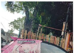 Enlace a El coche de la tóxica