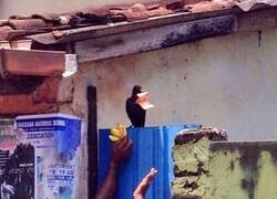 Enlace a El centro de atención