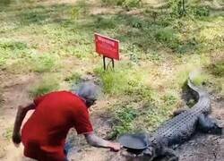 Enlace a A sartenazos