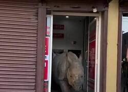 Enlace a Clientela selecta