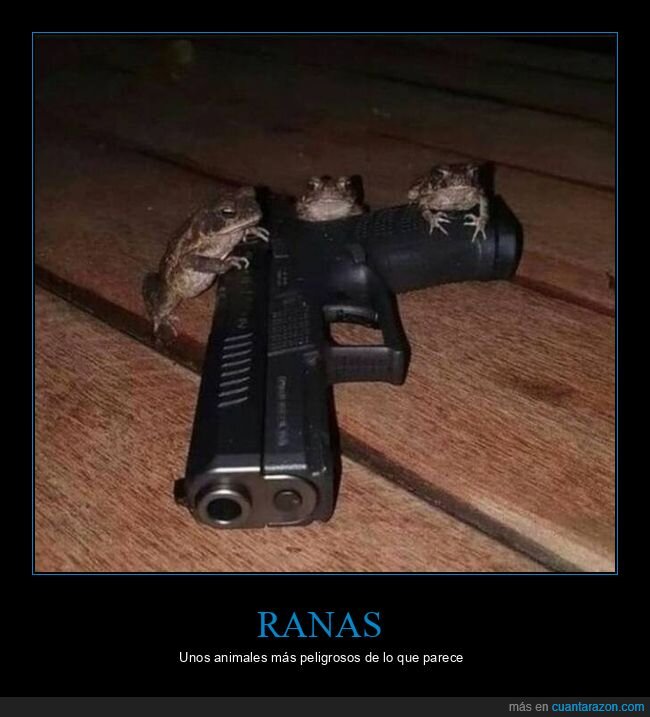 ranas,pistola