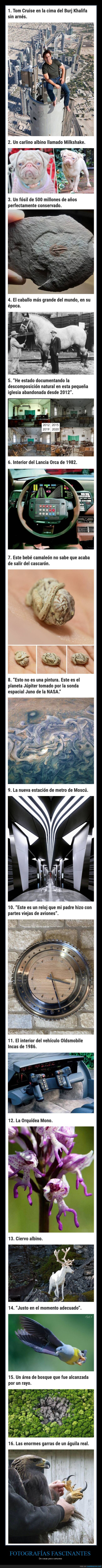 fotografías fascinantes,cosas poco comunes,curiosidades