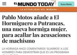 Enlace a La nueva hormiga