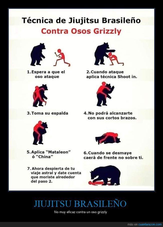 jiujitsu brasileño,osos