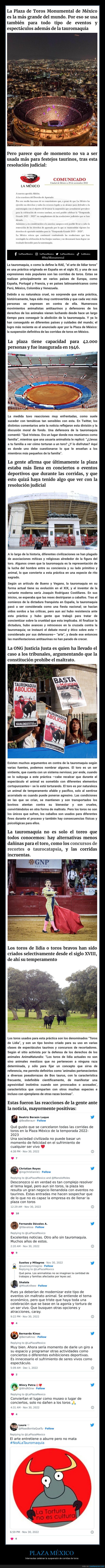 plaza méxico,toros,suspensión