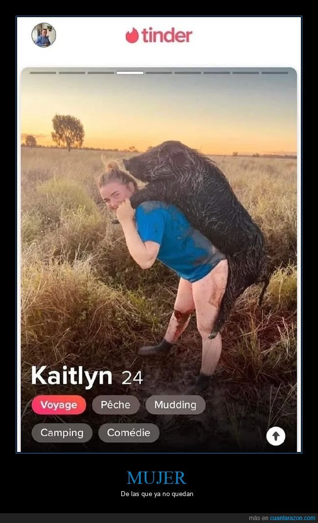 jabalí,tinder,wtf