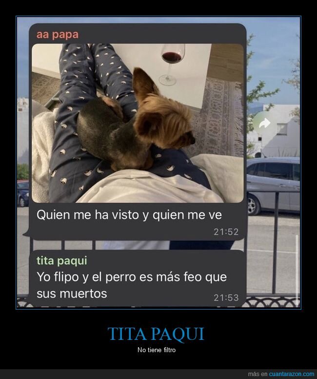 perro,feo,tía,whatsapp