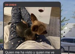 Enlace a La sinceridad de la tía Paqui