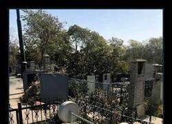 Enlace a Aquí yace un apasionado del gym