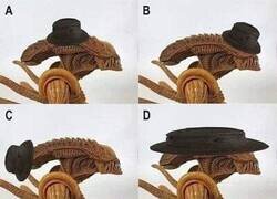 Enlace a Cuestión de interés